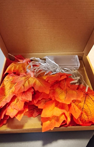 Led herbst lichterkette - led,