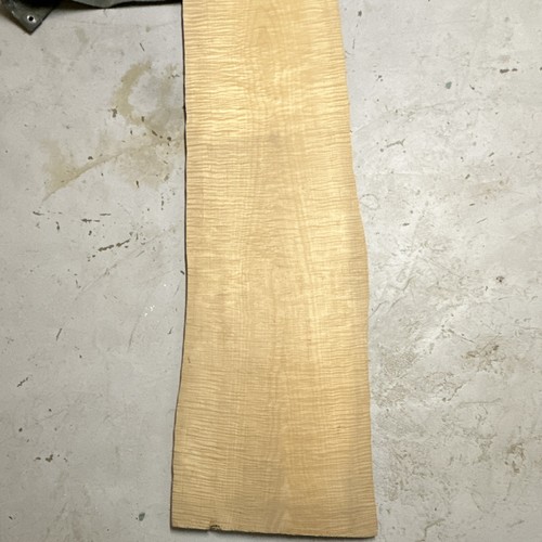 Riegelahorn 118 2 4mm - riegelahorn, 118/36——-2,4mm