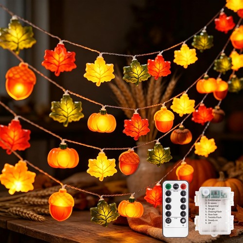 Herbst lichterkette led - herbst,