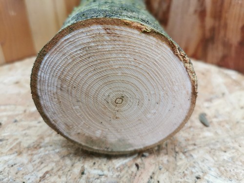 Ahorn drechselholz - drechselholz, –